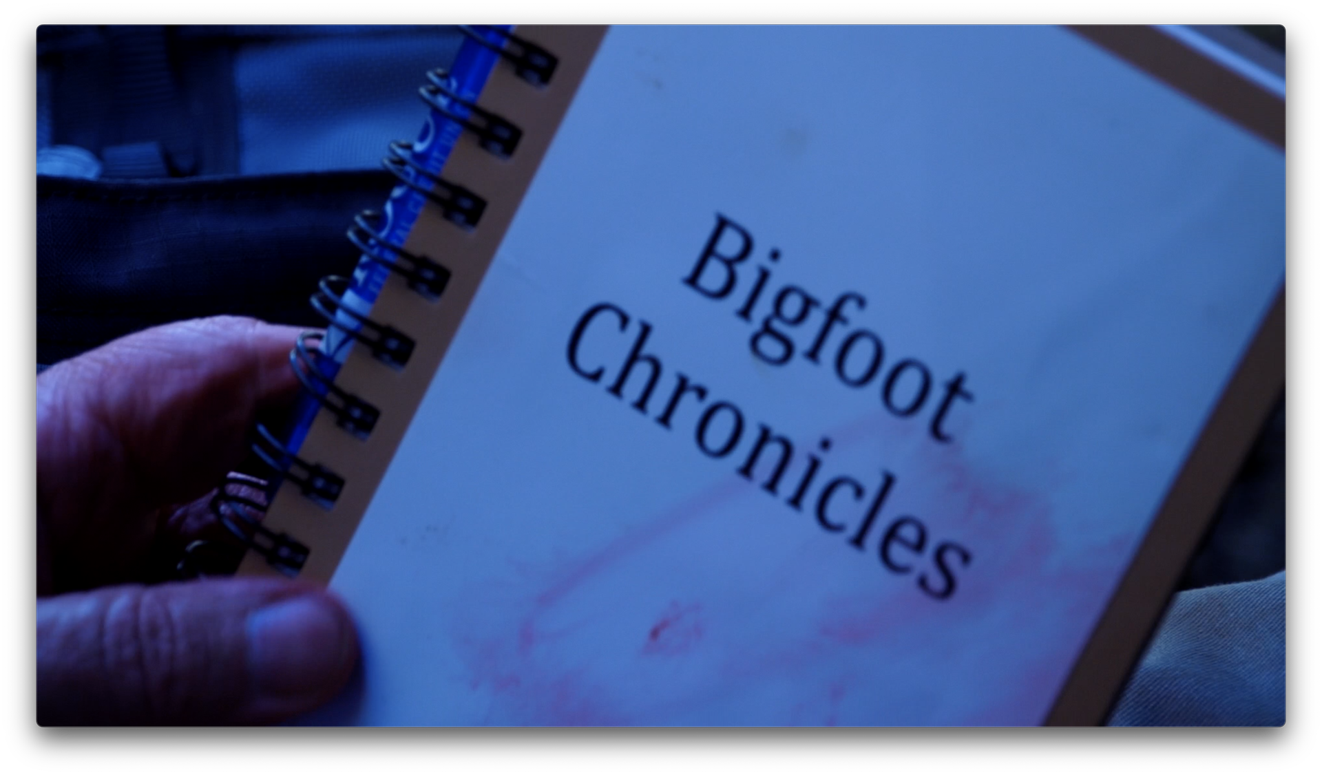 Bigfoot Chronicles Saga